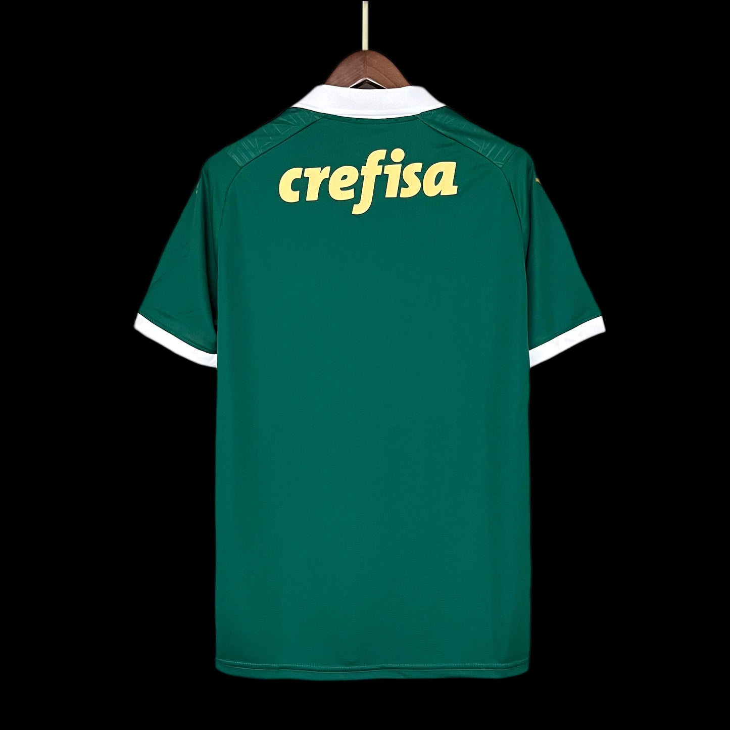 Palmeiras Home Jersey 24/2025