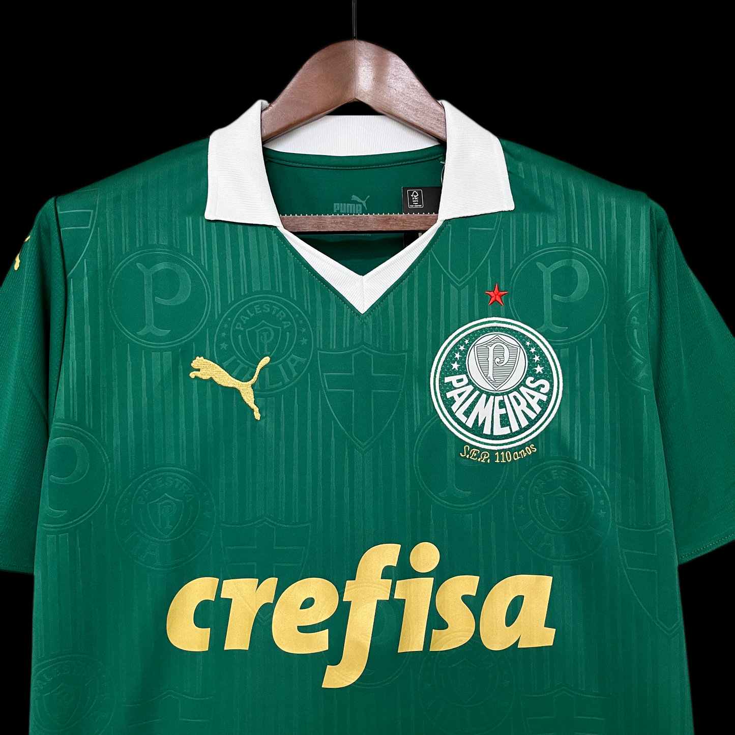 Palmeiras Home Jersey 24/2025