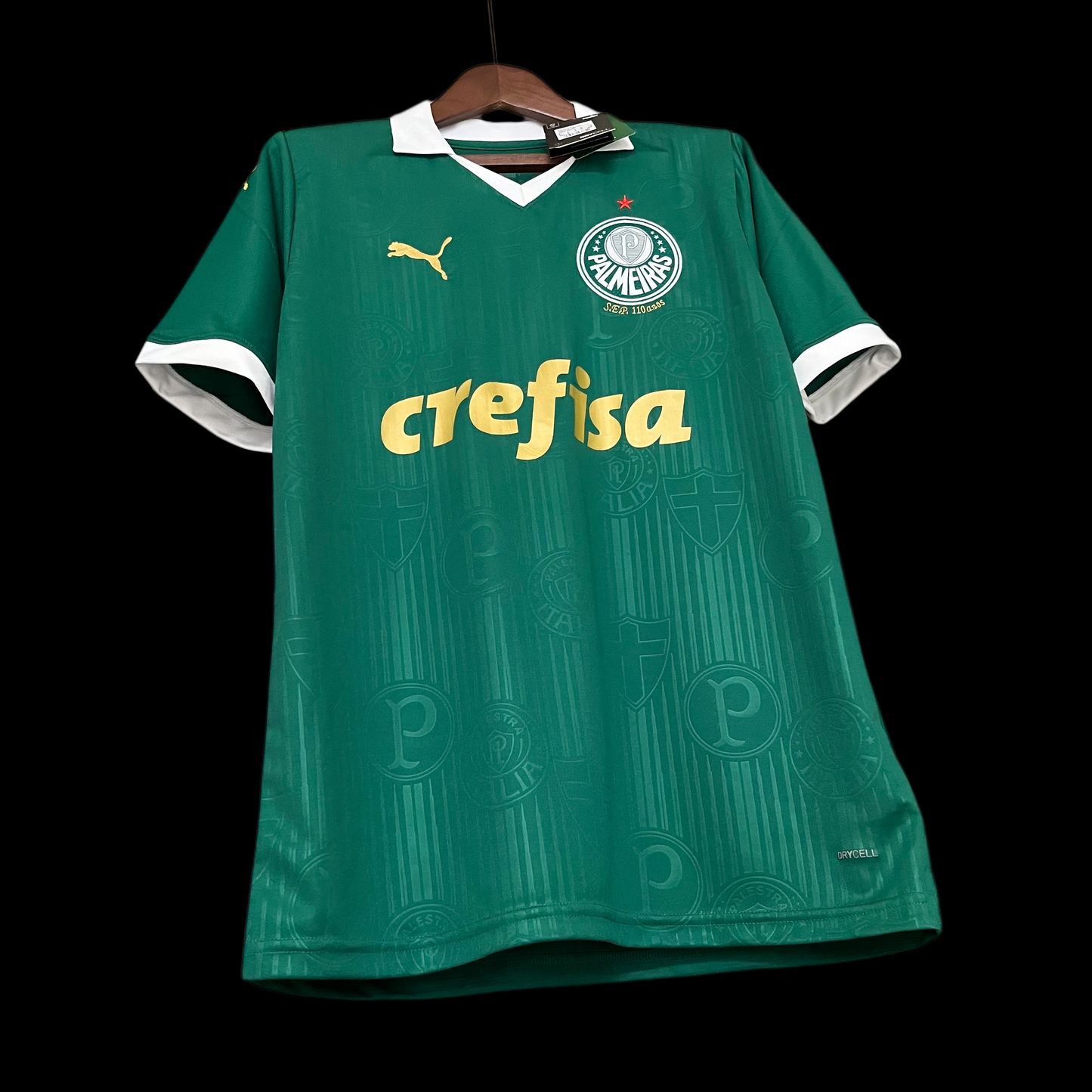 Palmeiras Home Jersey 24/2025
